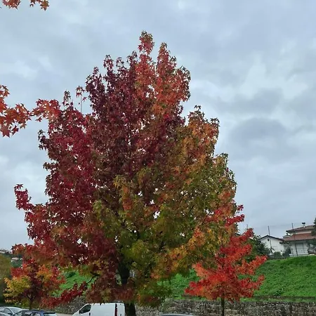 Casa Maria Da Eira بيت للعطل *