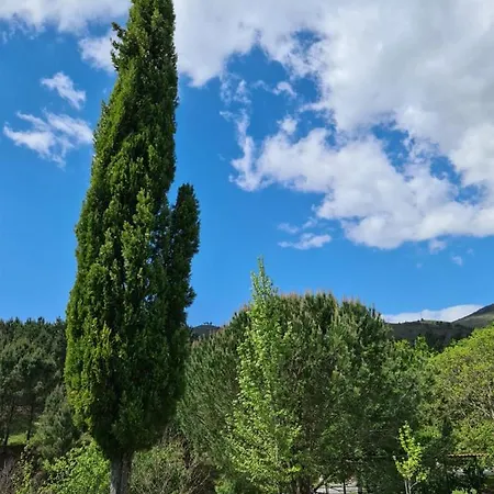 Casa Maria Da Eira بيت للعطل اركوس دي فالديفيز