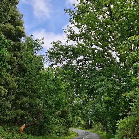 بيت للعطل Casa Maria Da Eira اركوس دي فالديفيز