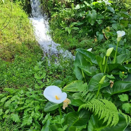 Casa Maria Da Eira *