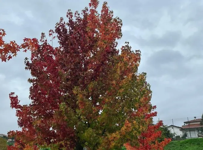 Casa Maria Da Eira Ferienhaus *