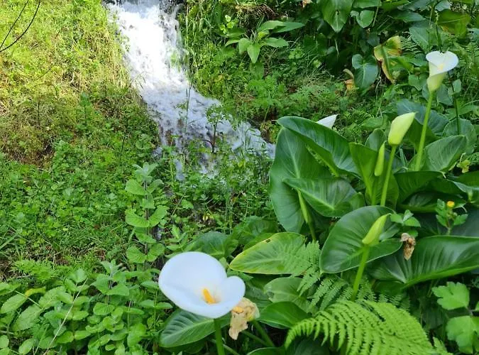 Casa Maria Da Eira *